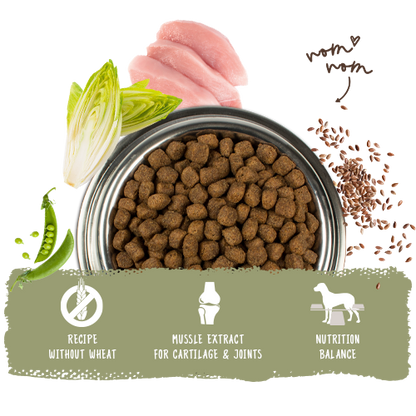 Bosch High Premium Concept Adult Poultry and Millet Dog Food 3kg