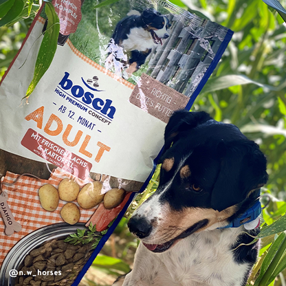 Bosch High Premium Concept Adult Salmon and Potato Dog Food 3kg