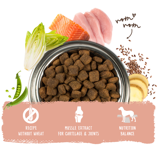 Bosch High Premium Concept Adult Salmon and Potato Dog Food 3kg