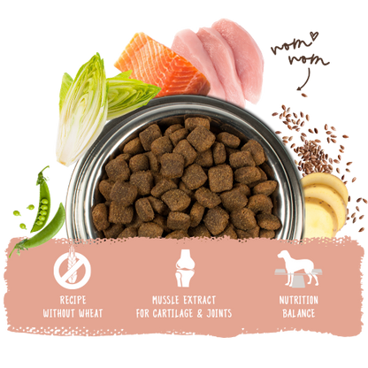 Bosch High Premium Concept Adult Salmon and Potato Dog Food 15kg