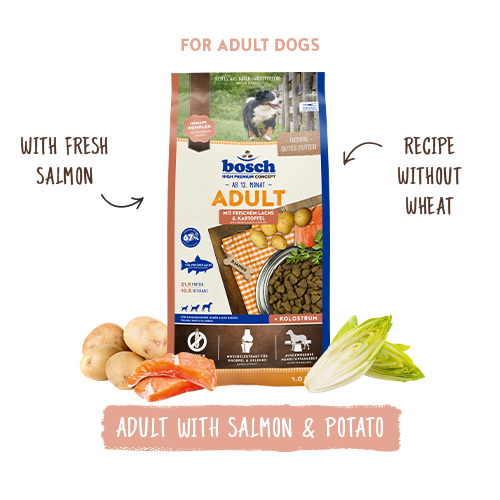 Bosch High Premium Concept Adult Salmon and Potato Dog Food 3kg