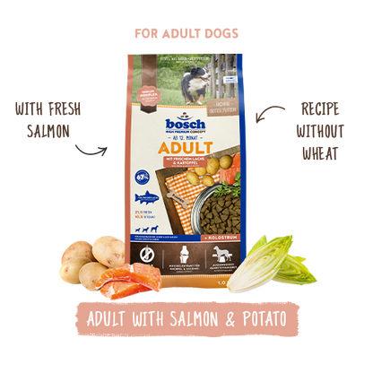 Bosch High Premium Concept Adult Salmon and Potato Dog Food 15kg