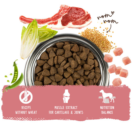 Bosch High Premium Concept Adult Lamb and Rice Dog Food 15kg