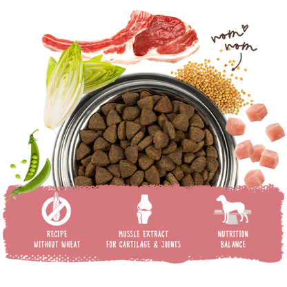 Bosch High Premium Concept Adult Lamb and Rice Dog Food 15kg