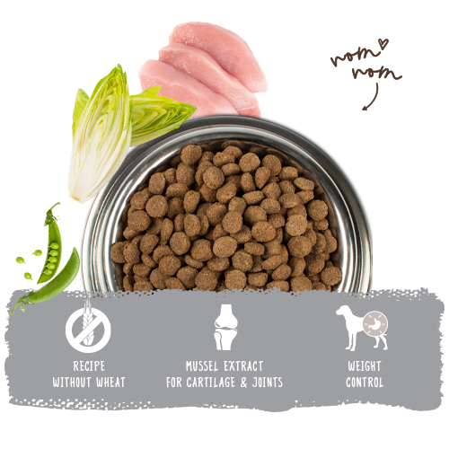 Bosch High Premium Concept Light Dog Food 2.5kg