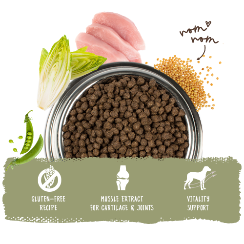 Bosch High Premium Concept Mini Adult Poultry and Millet Dog Food 3kg
