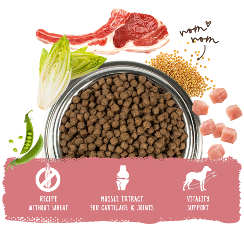 Bosch High Premium Concept Mini Adult Lamb and Rice Dog Food 3kg