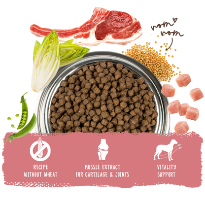 Bosch High Premium Concept Mini Adult Lamb and Rice Dog Food 3kg