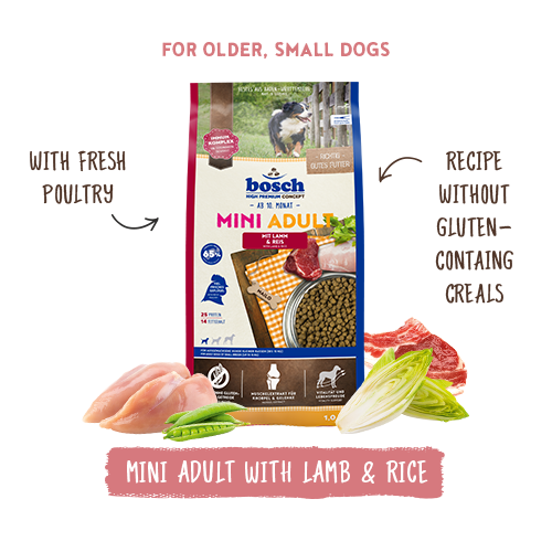 Bosch High Premium Concept Mini Adult Lamb and Rice Dog Food 3kg