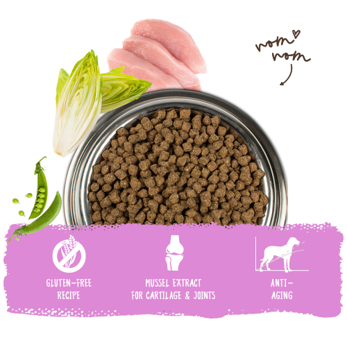 Bosch High Premium Concept Mini Senior Dog Food 2.5kg