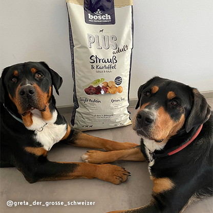 Bosch High Premium Soft Plus Adult Ostrich and Potato Dog Food 2.5kg