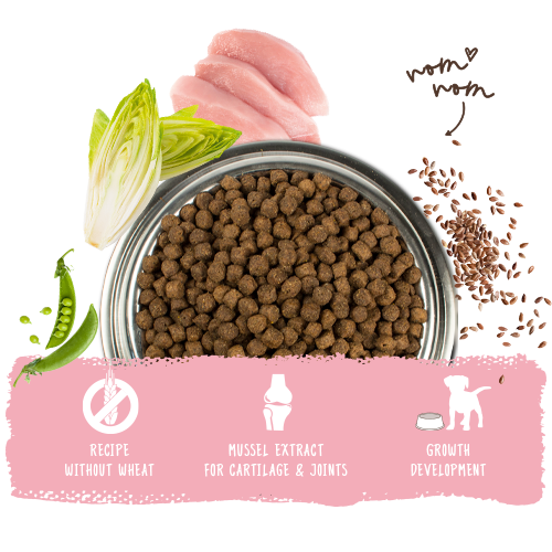 Bosch High Premium Concept Puppy Dry Food 7.5kg