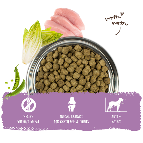 Bosch High Premium Concept Senior Dog Food 12.5kg