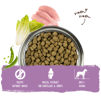 Bosch High Premium Concept Senior Dog Food 12.5kg