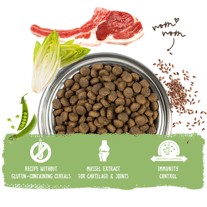 Bosch High Premium Concept Sensitive Lamb and Rice Dog Food 15kg