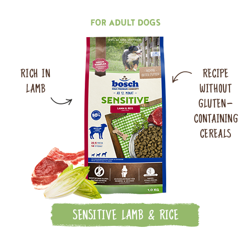 Bosch High Premium Concept Sensitive Lamb and Rice Dog Food 3kg