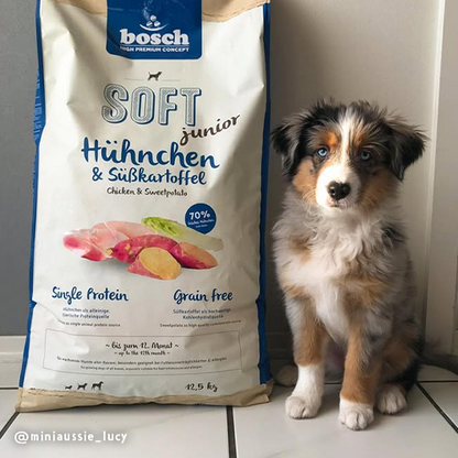 Bosch High Premium Soft Plus Junior Chicken and Sweet Potato Dog Food 2.5kg