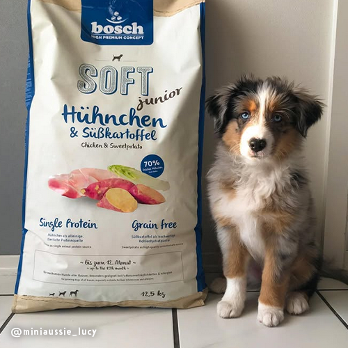 Bosch High Premium Soft Plus Junior Chicken and Sweet Potato Dog Food 12.5kg