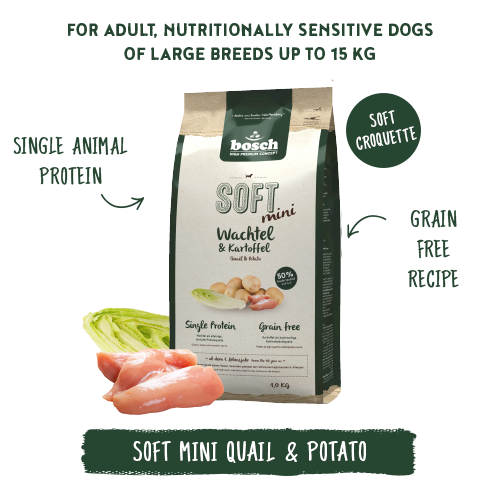 Bosch High Premium Soft Plus Mini Quail and Potato Dog Food 10kg