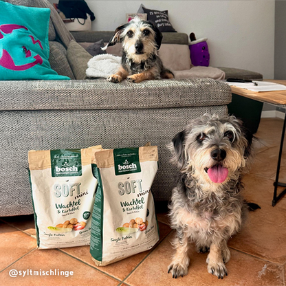 Bosch High Premium Soft Plus Mini Quail and Potato Dog Food 2.5kg