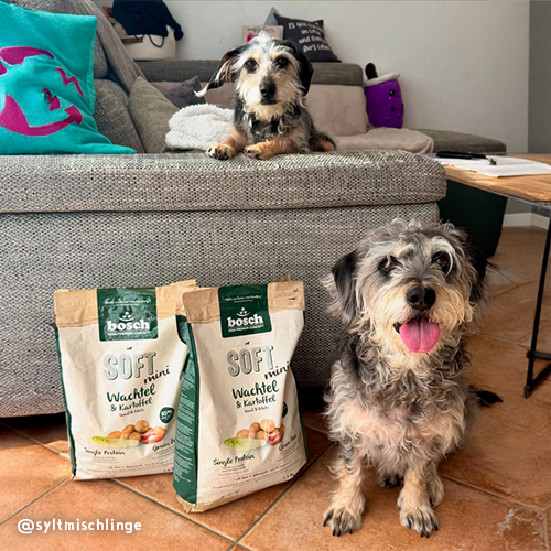 Bosch High Premium Soft Plus Mini Quail and Potato Dog Food 10kg