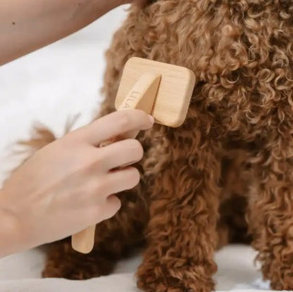 Lila Loves It Slicker Brush for Dogs with Undercoat-Medium