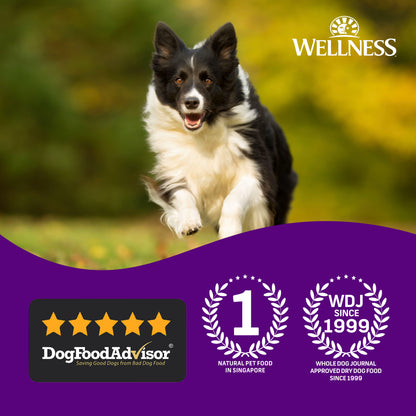 Wellness Complete Health Large Breed Chicken Adult Dry Dog Food 30lb