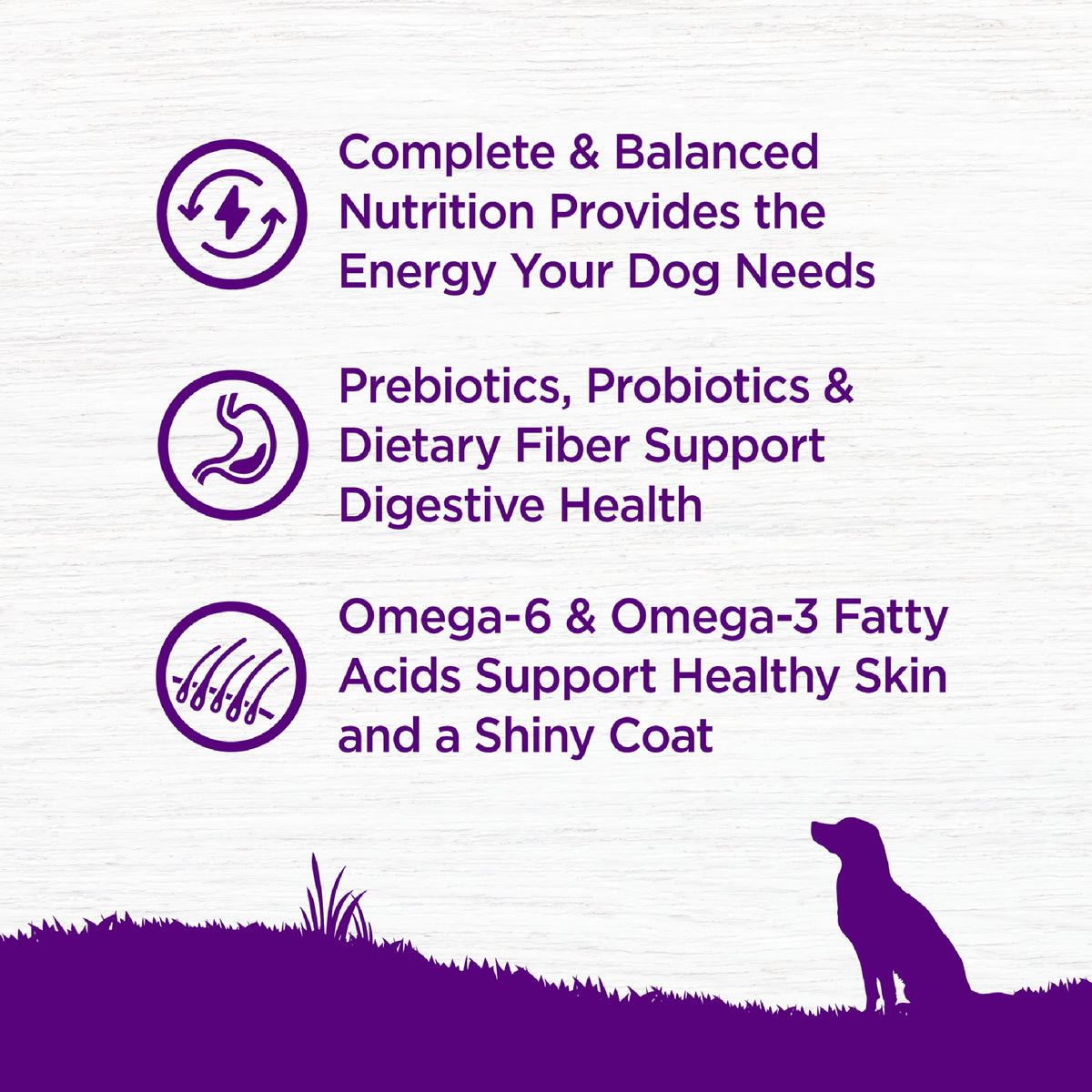 Wellness Complete Health Grain Free Chicken Adult Dry Dog Food