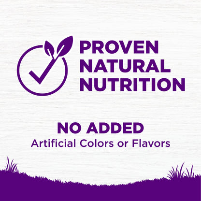 Wellness Complete Health Grain Free Puppy Dry Dog Food