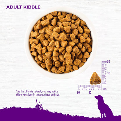 Wellness Complete Health Grain Free Chicken Adult Dry Dog Food