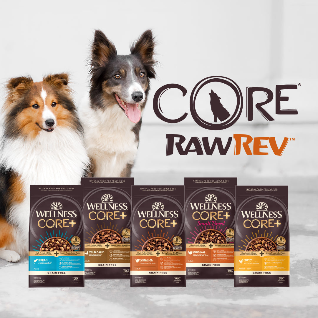 Wellness CORE+ RawRev Ocean Grain Free Adult Dry Dog Food with Freeze Dried Whitefish