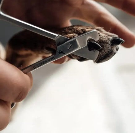 Lila Loves It Claw Scissors with Ergonomic Design