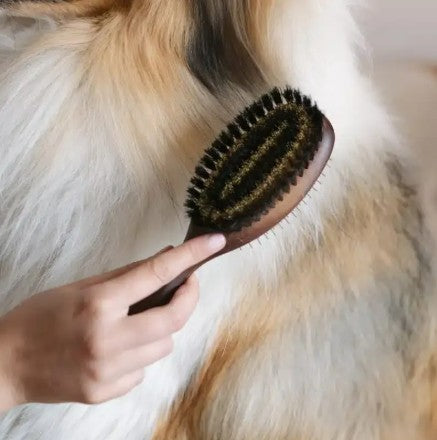 Lila Loves It Double Sided Dog Brush with Natural Agave Bristles