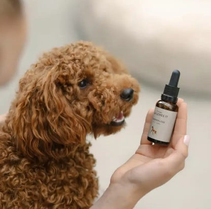 Lila Loves It Eye Care Dog Eye Cleanser Gentle Tear Stain Care 30ml