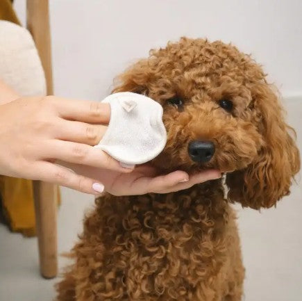 Lila Loves It Eye Care Dog Eye Cleanser Gentle Tear Stain Care 30ml