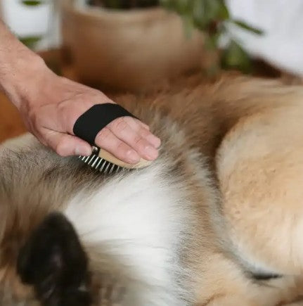 Lila Loves It Long Hair Dog Brush with Metal Bristles and Beech Wood