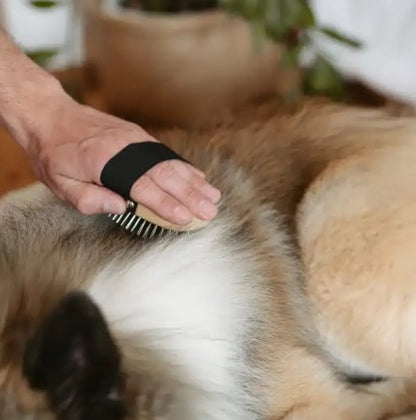 Lila Loves It Long Hair Dog Brush with Metal Bristles and Beech Wood