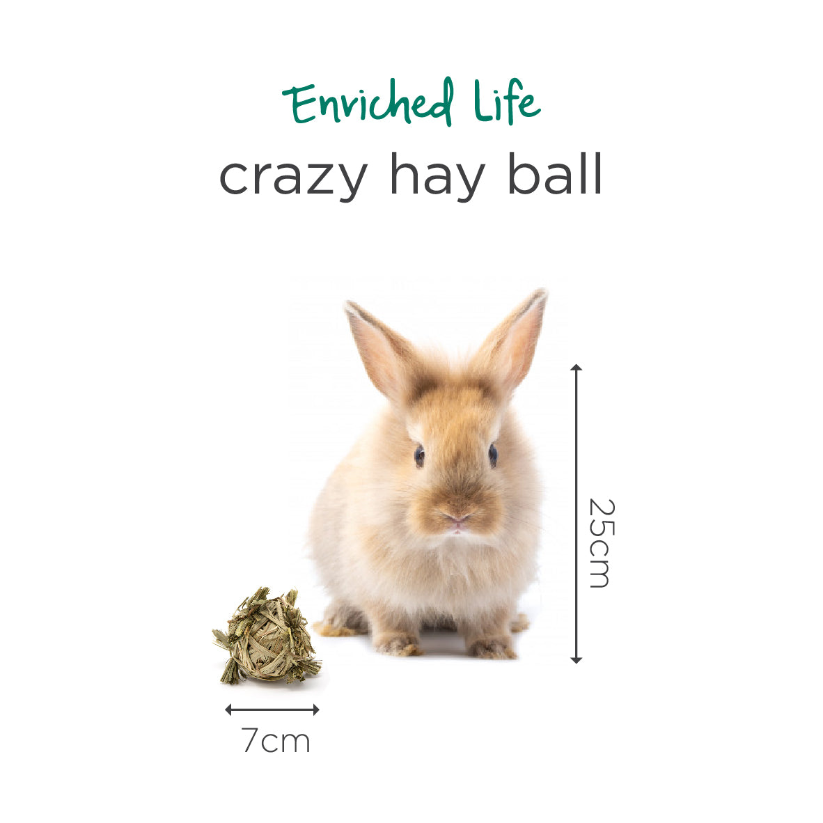 Oxbow Enriched Life Crazy Hay Ball for Small Pets