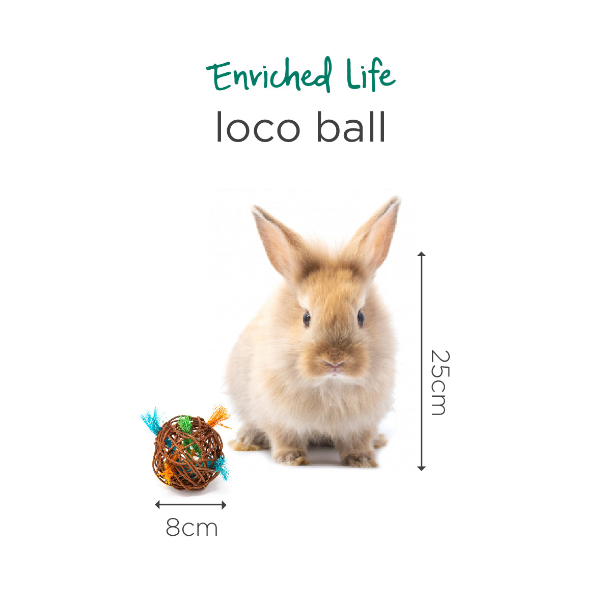 Oxbow Enriched Life Loco Ball for Small Pets
