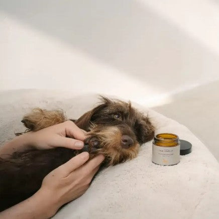 Lila Loves It Paw Care for Dogs Protective Balm 60ml