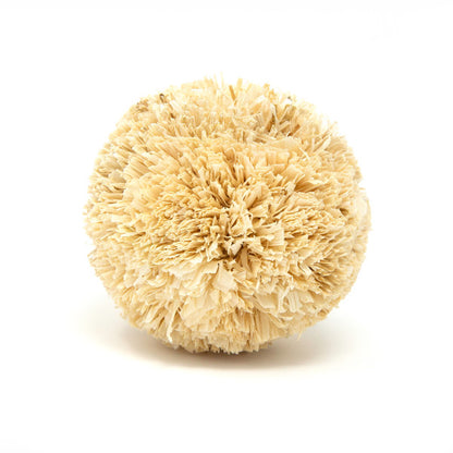 Oxbow Enriched Life Play Pom for Small Pets