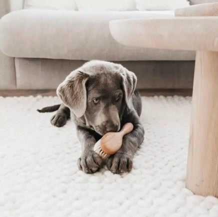 Lila Loves It Puppy Brush with Soft Natural Bristles and Beech Wood Handle