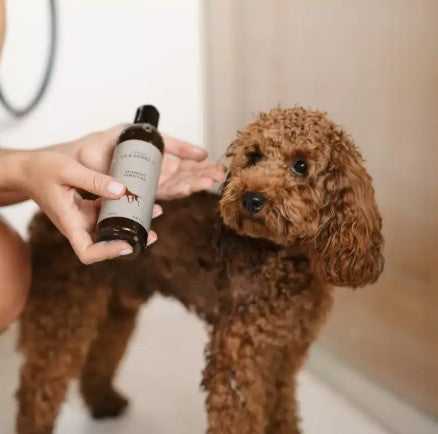 Lila Loves It Intense Silky and Shine Dog Conditioner 100ml