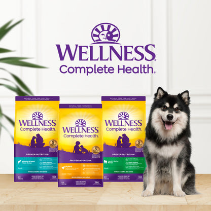 Wellness Complete Health Puppy Chicken, Oatmeal & Salmon Dry Dog Food 5LB and 30LB