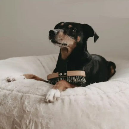 Lila Loves It Vegan Short Hair Brush with Agave Bristles for Dogs and Cats
