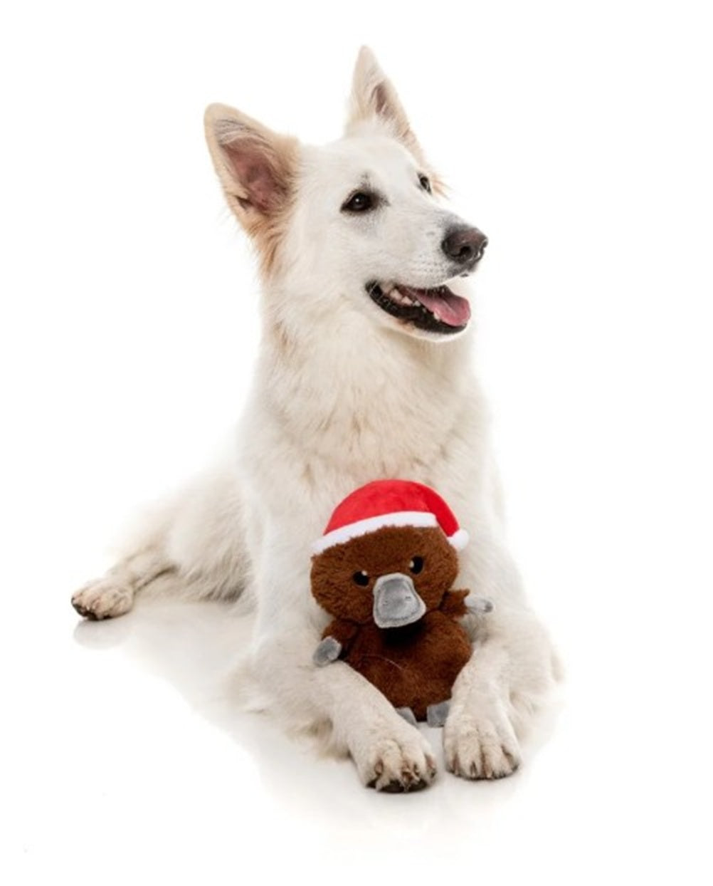 FuzzYard Christmas A Wreatha the Platypus Plush Dog Toy
