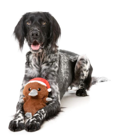FuzzYard Christmas A Wreatha the Platypus Plush Dog Toy